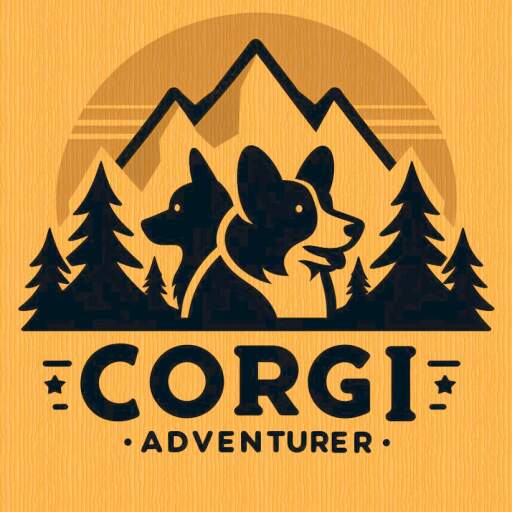 Corgi Adventurer